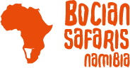 Bocian Safaris